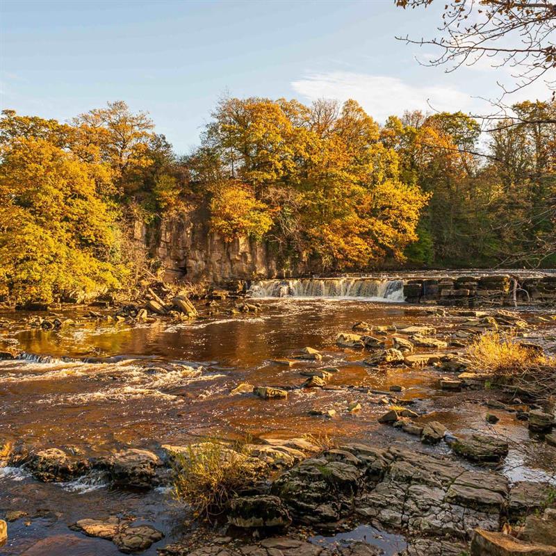 Guided Walk: Save Our Swale